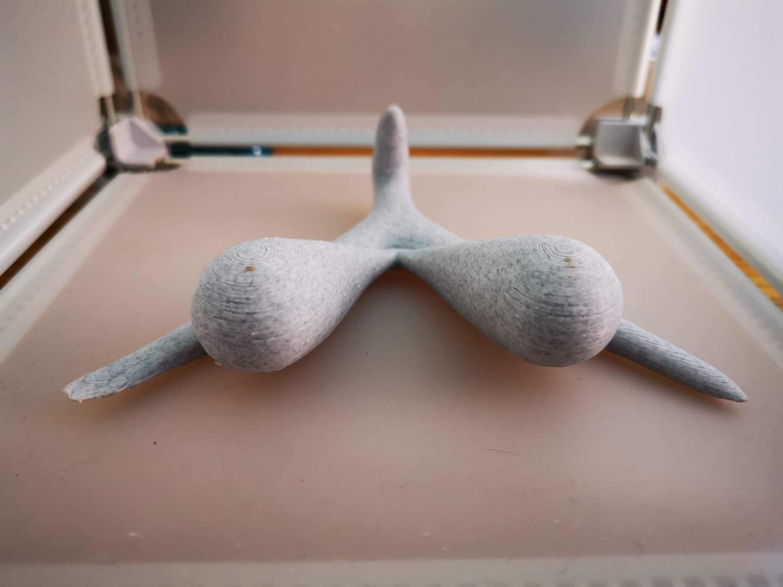 CLITORIS 3D MODEL -Feminist Room Decor - Modern Room Decor - Image 6