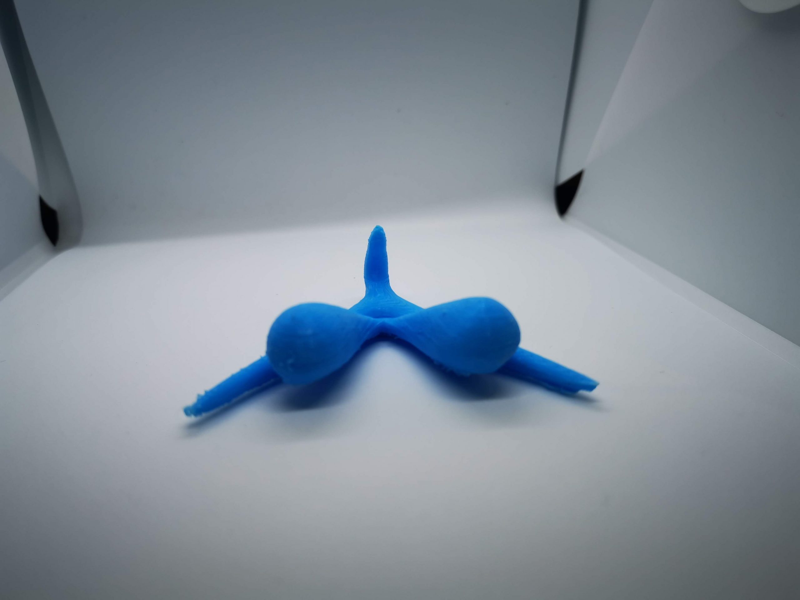 CLITORIS 3D MODEL -Feminist Room Decor - Modern Room Decor - Image 5