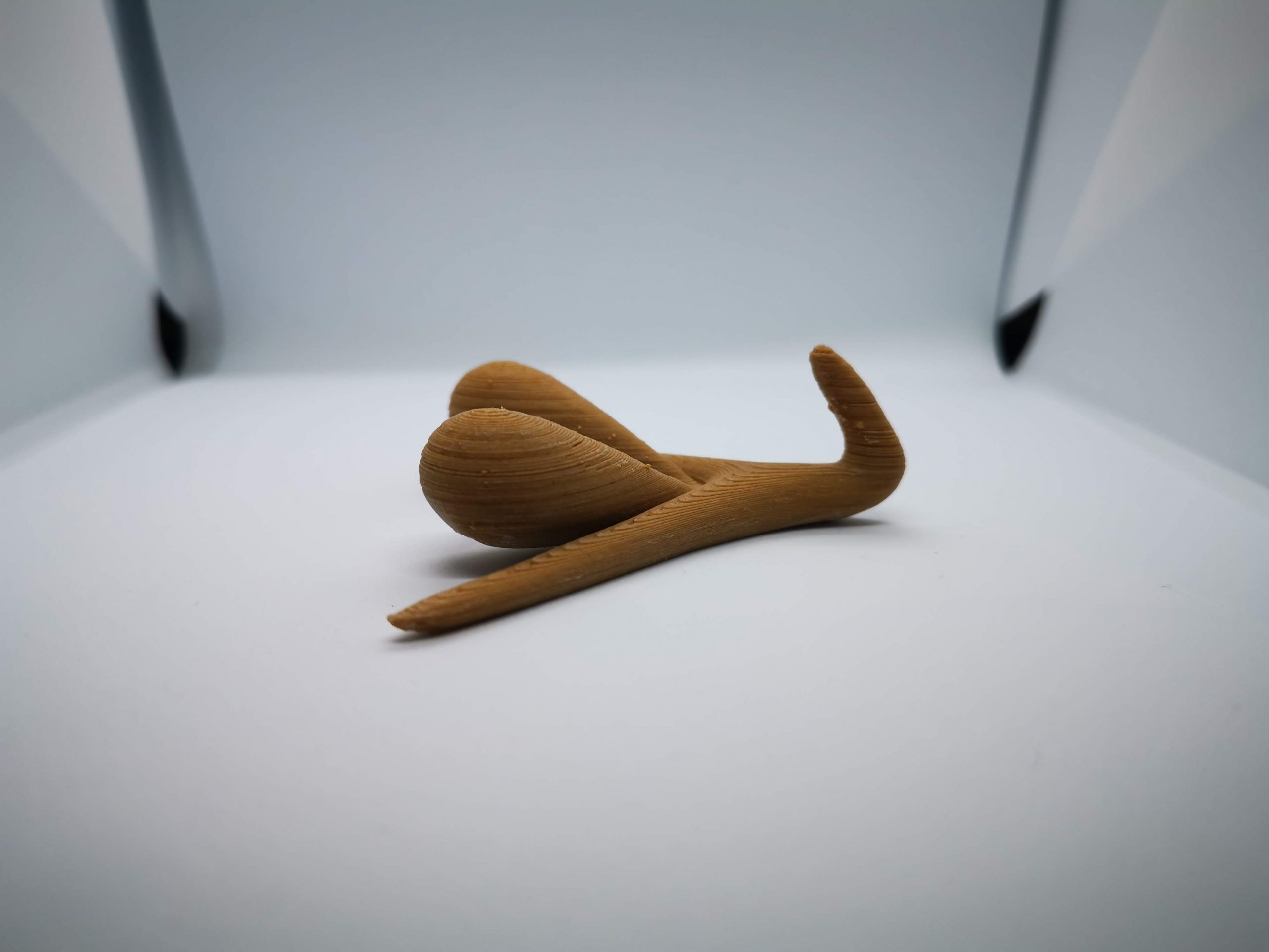 CLITORIS 3D MODEL -Feminist Room Decor - Modern Room Decor - Image 4
